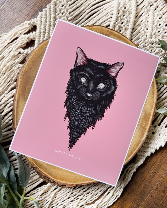 blind cat with a pink background