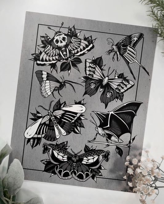 a chart of different kinds of spooky moths print