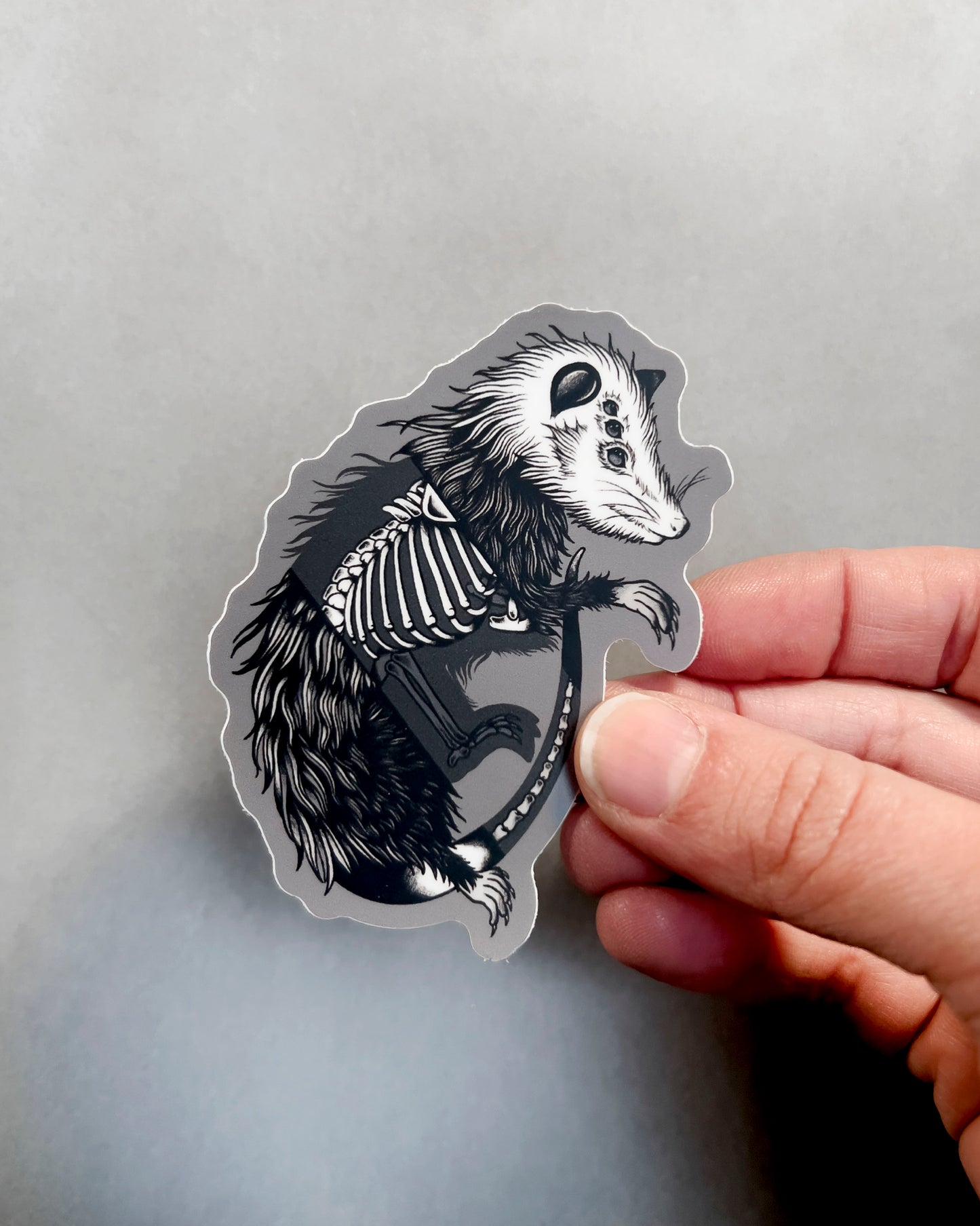 Possum Sticker
