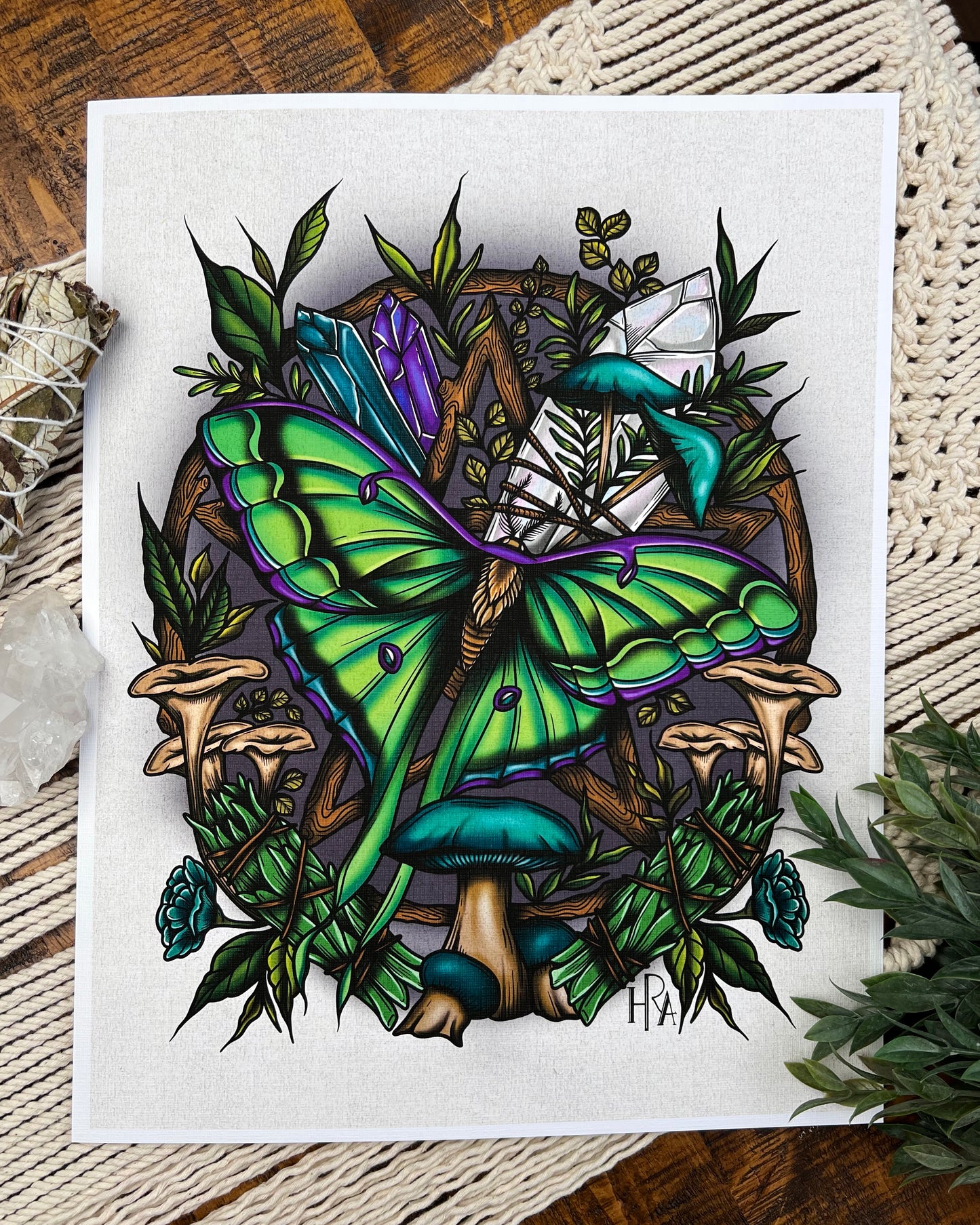The Witch of Luna Canvas Print