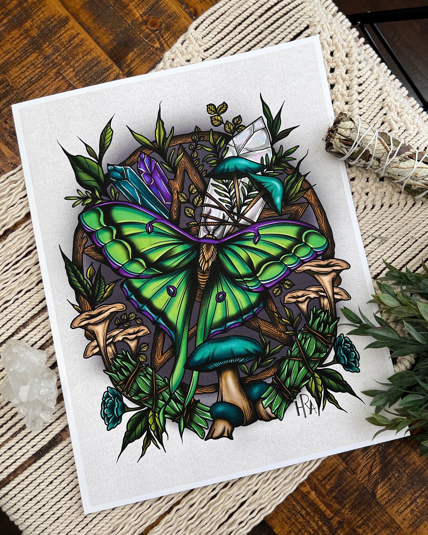 The Witch of Luna Canvas Print