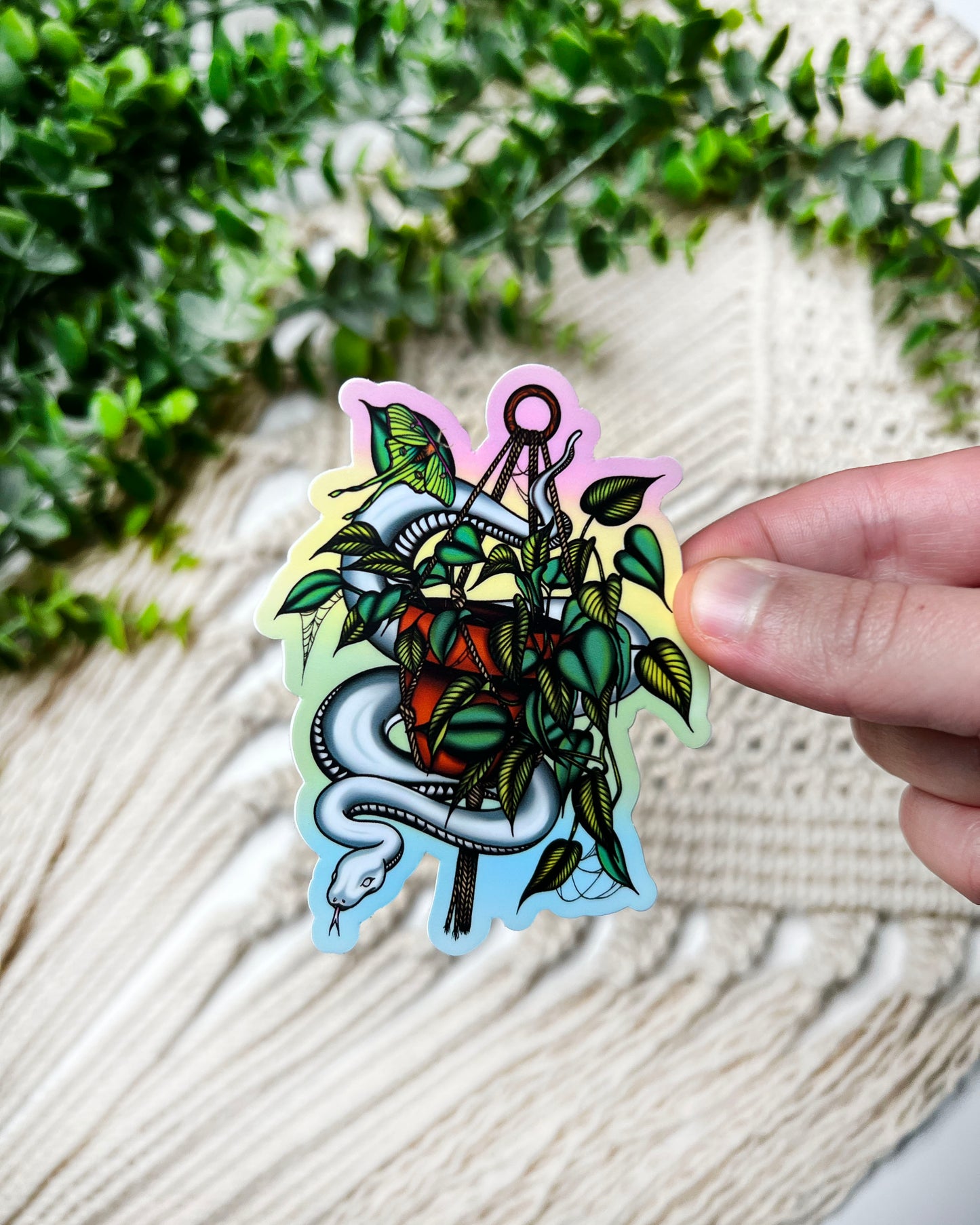 Rainbow Beauty Sticker