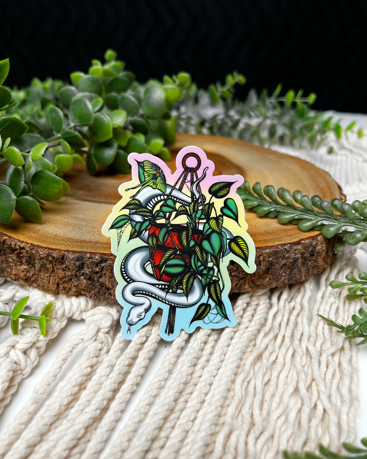 Rainbow Beauty Sticker