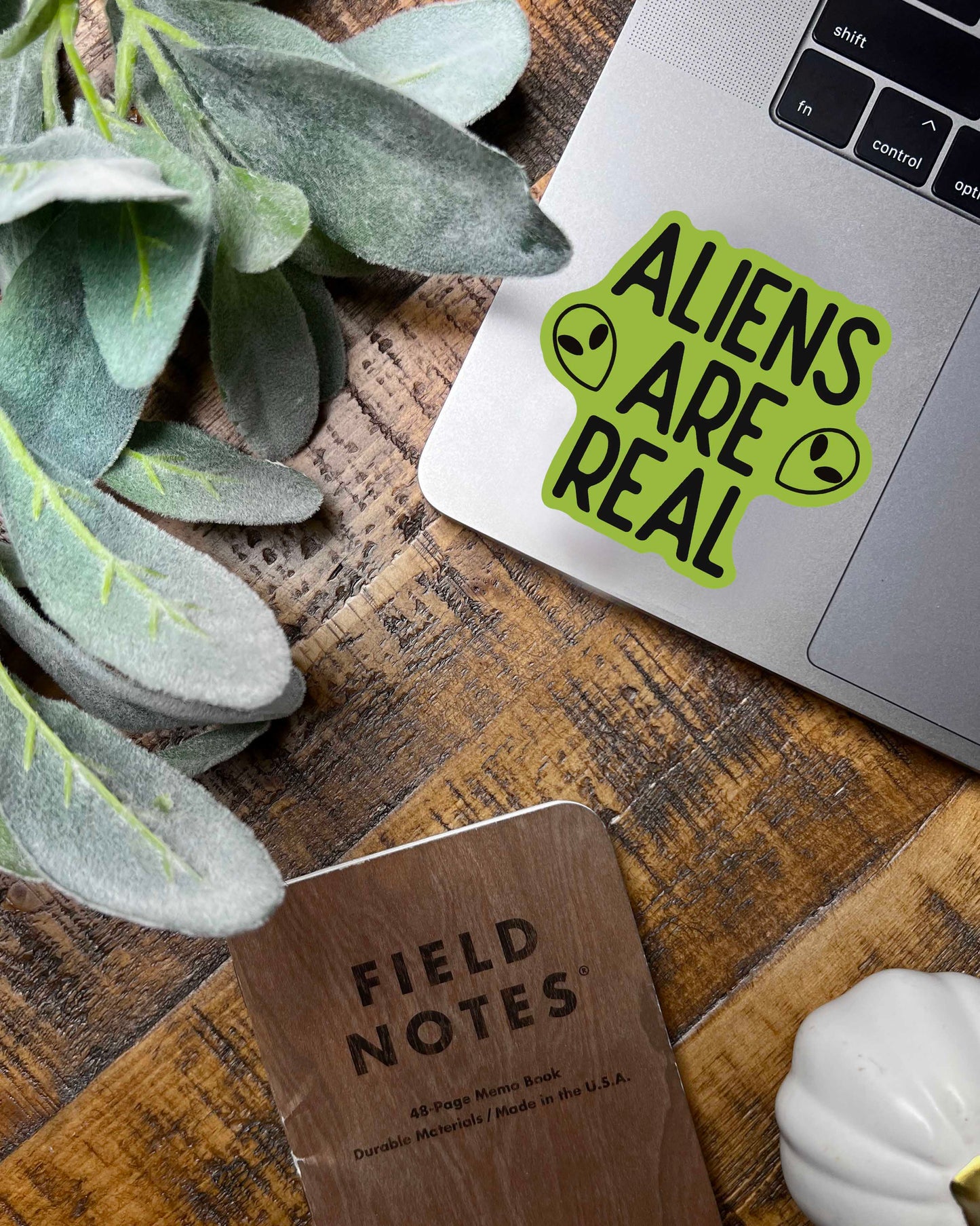 Aliens Are Real Sticker