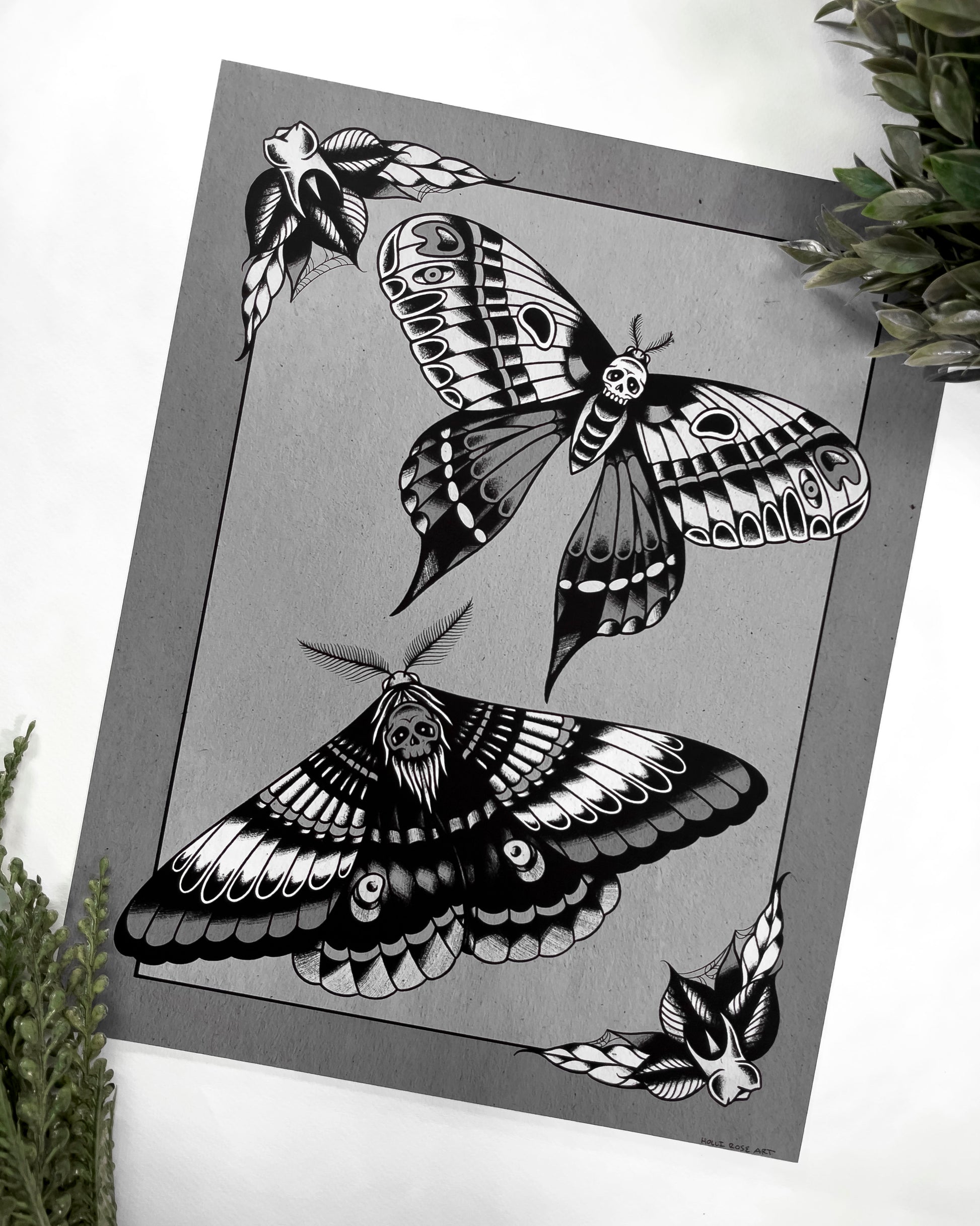 2 moths print