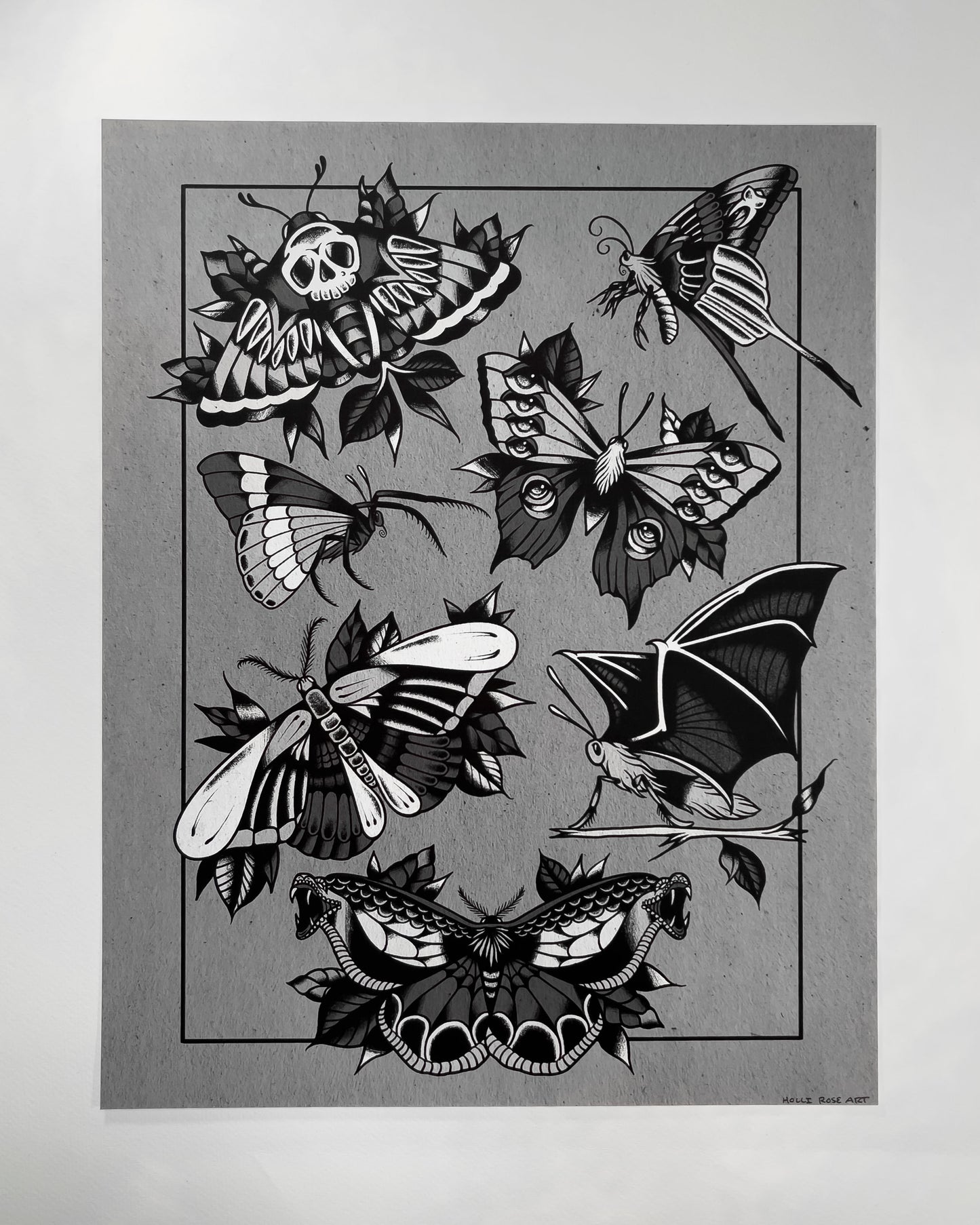 a chart of different kinds of spooky moths print