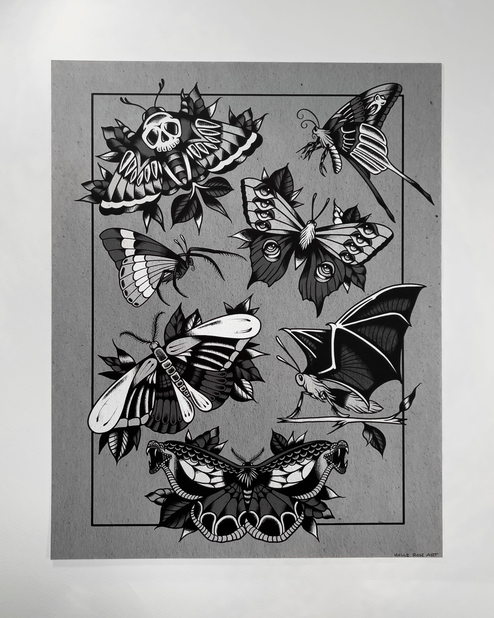 a chart of different kinds of spooky moths print