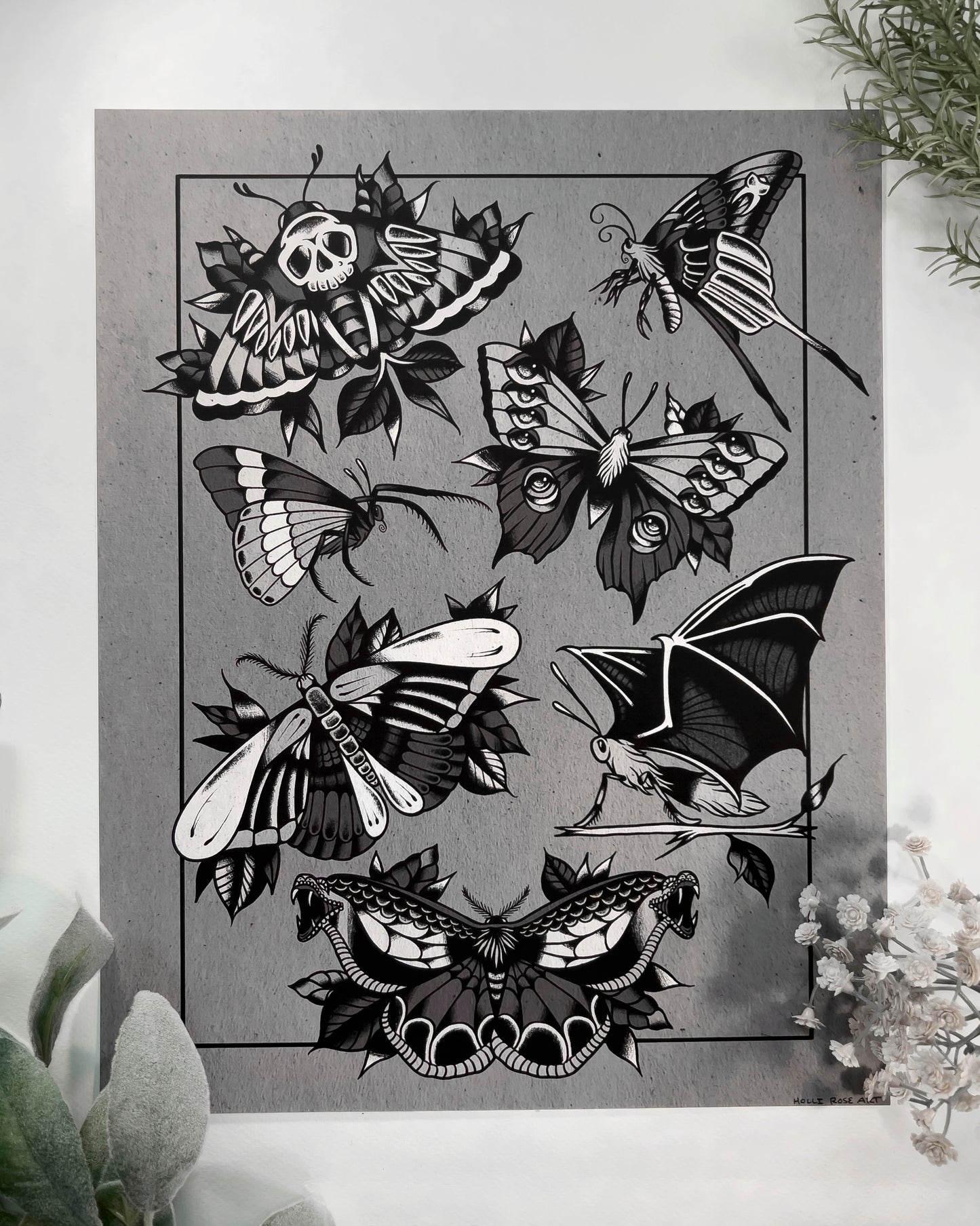 a chart of different kinds of spooky moths print