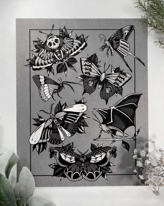 a chart of different kinds of spooky moths print