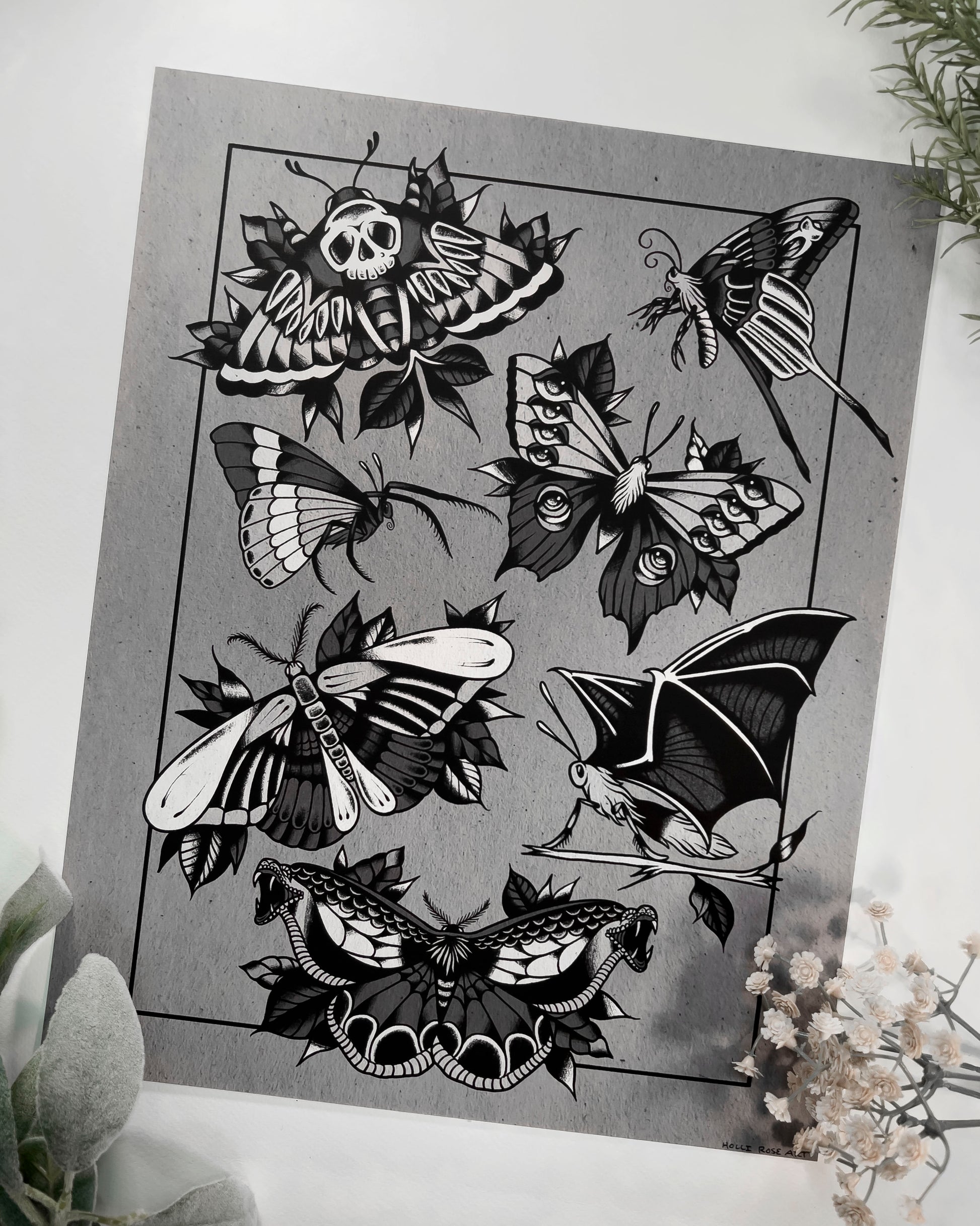 a chart of different kinds of spooky moths print