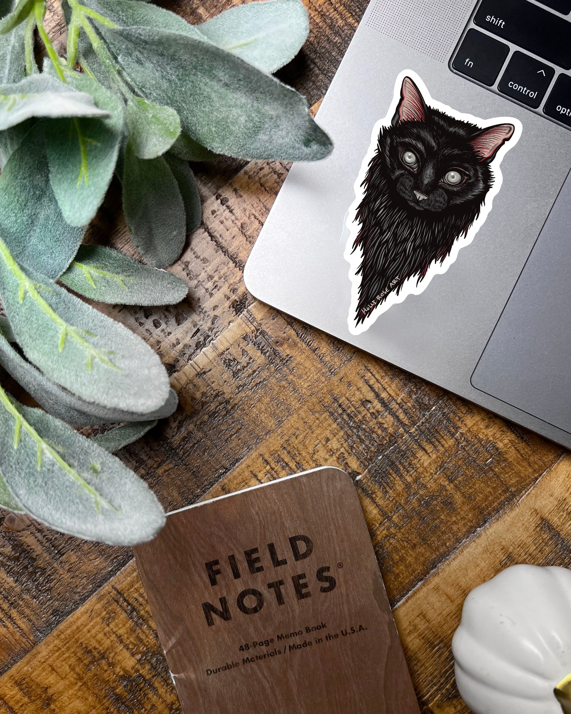 a black cat with blind eyes sticker