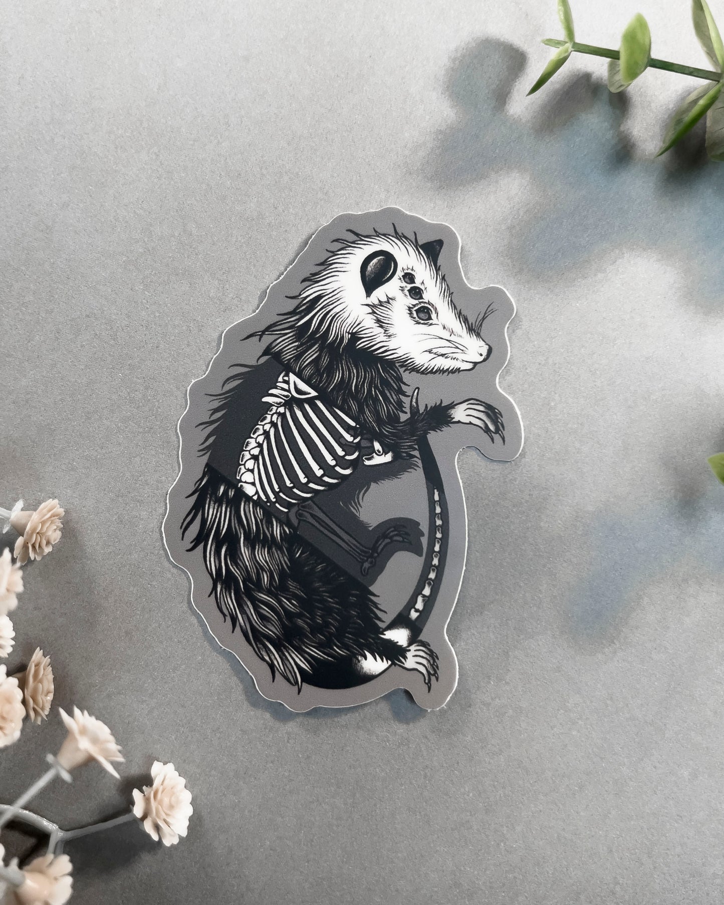 Possum Sticker