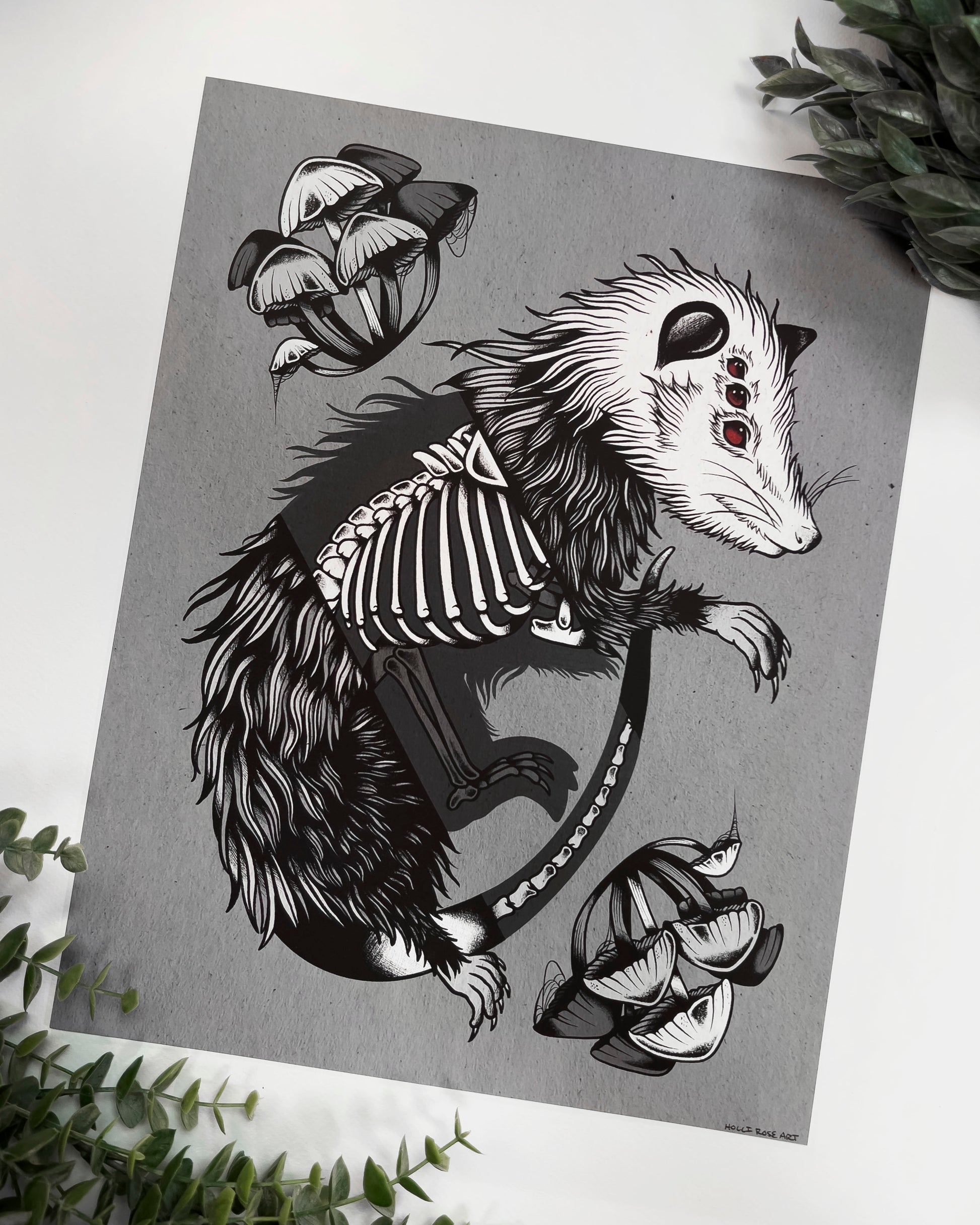 a possum with 3 eyes print