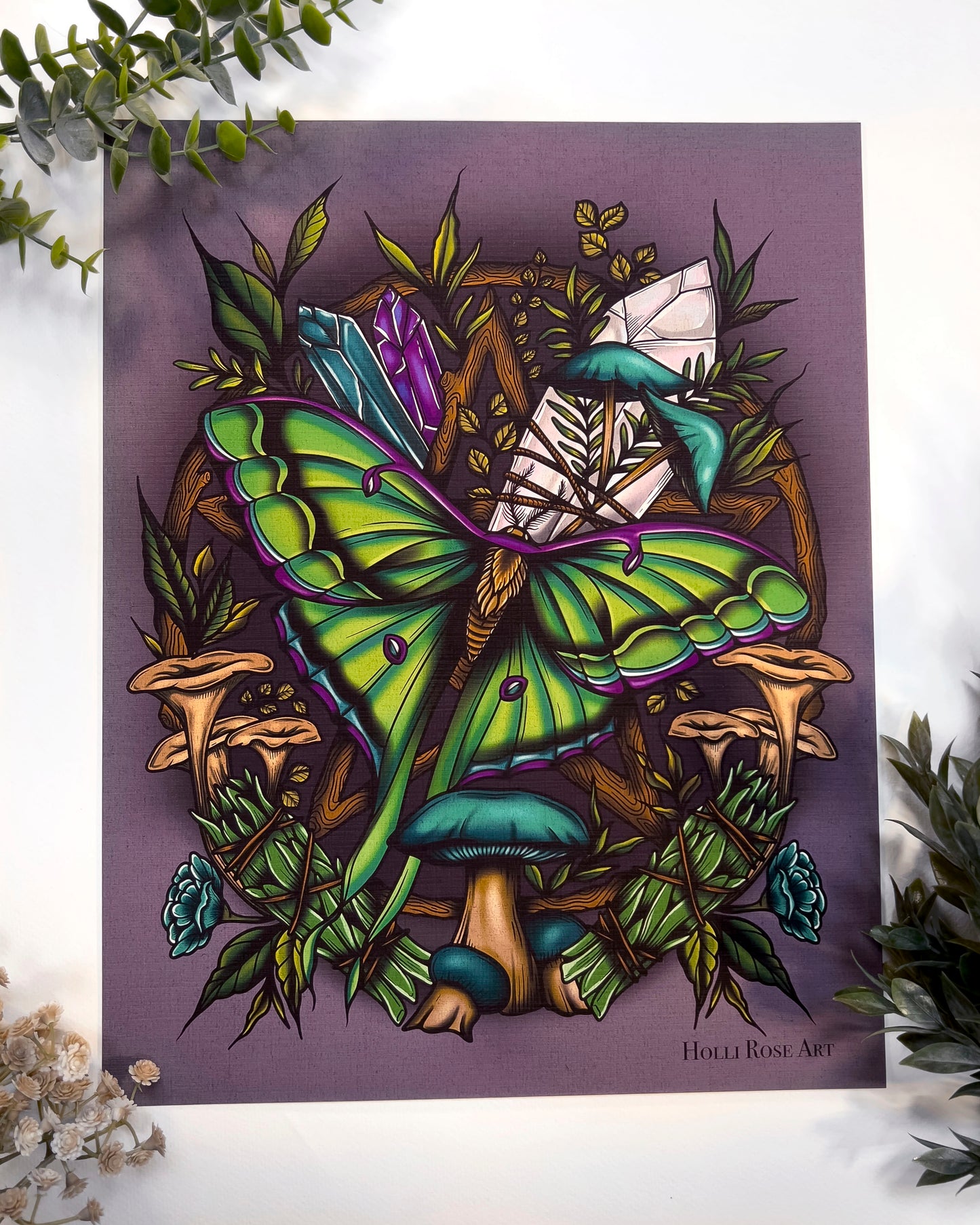 Colorful illustration of a butterfly and nature elements on a purple background