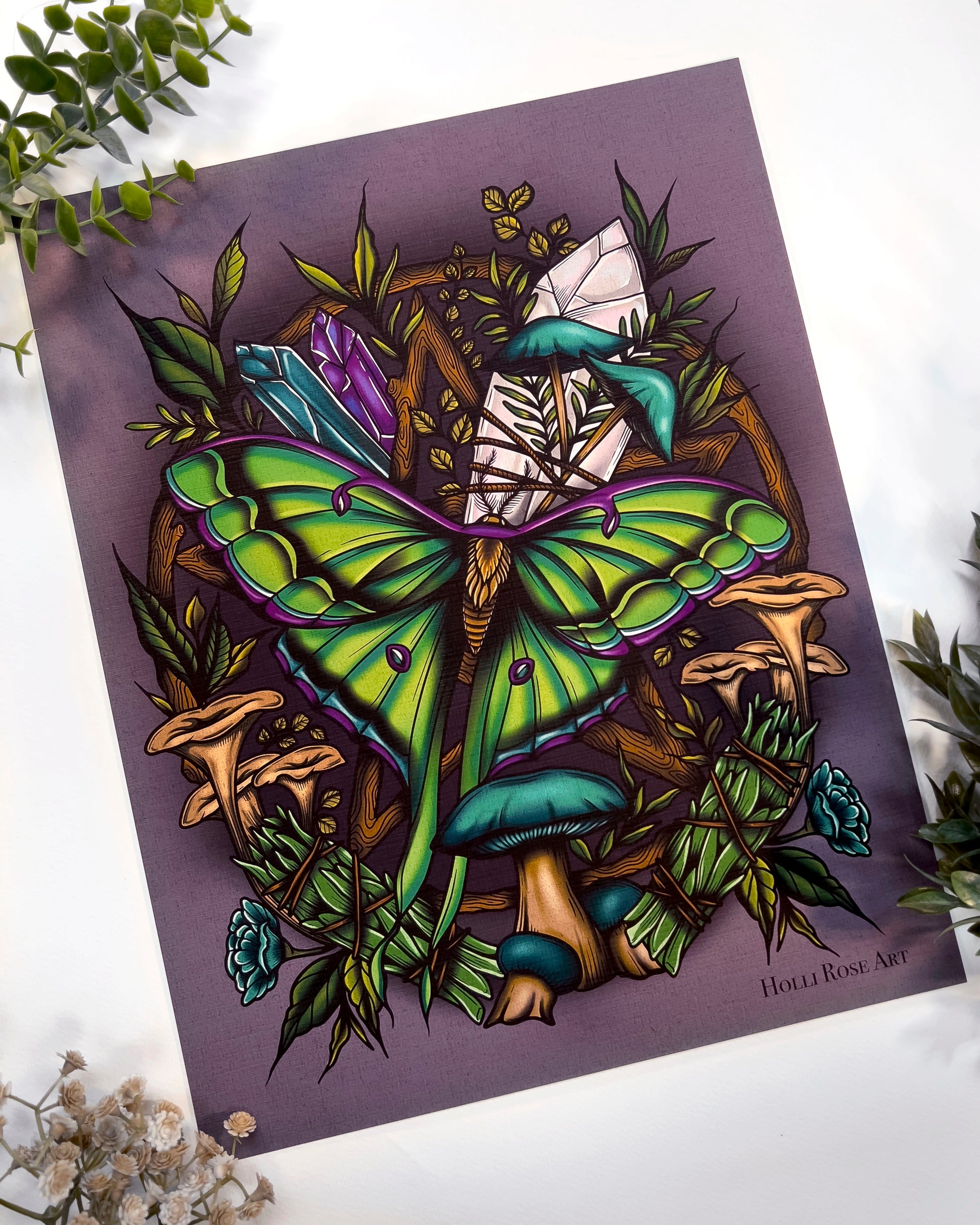 Colorful illustration of a butterfly and nature elements on a purple background